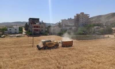 Gercüş’te biçer döverler tarlaya girdi