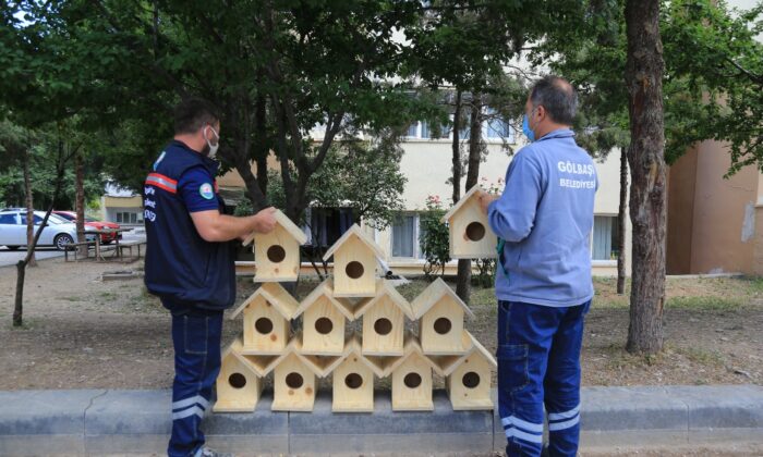 Gölbaşı Belediye Başkanı Ramazan Şimşek’ten minik canlara yuva