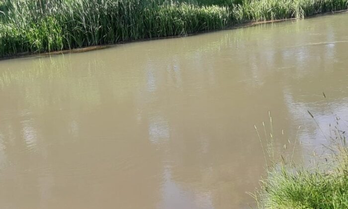 Gölete düşen 47 yaşındaki adam ağır yaralandı