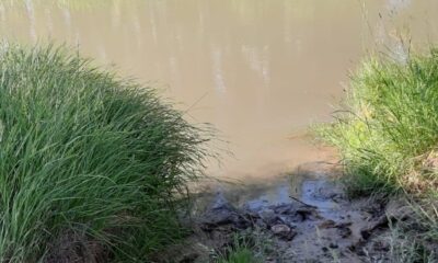 Gölete düşüp ağır yaralanan adam kurtarılamadı