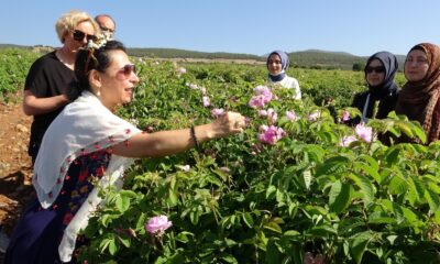 Gül bahçelerinde yabancı misafirlere ‘gül eğitimi’