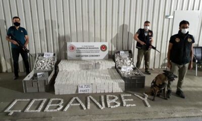 Gümrük kapılarında kaçakçılığa geçit yok