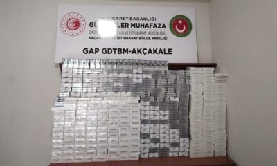 Gümrük kapısında 3 bin 780 paket kaçak sigara ele geçirildi