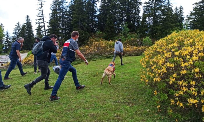 Gümüşhane’de kaybolan şahıs aranıyor