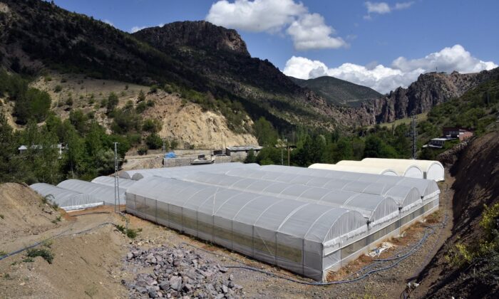 Gümüşhane’nin en büyük sera alanı Torul’da oluşturuldu