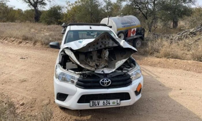 Güney Afrika’da kızgın fil arabayı parçaladı