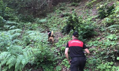 Günlerdir haber alınamayan yaşlı adam, kadavra köpeği ile aranıyor