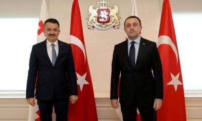 Gürcistan Başbakanı Garibaşvili’den Cumhurbaşkanı Erdoğan’a teşekkür