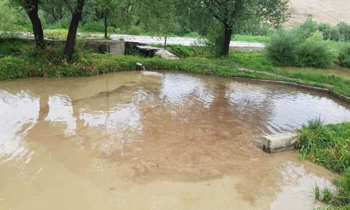 Gürün’de sel, tonlarca alabalık kayıp