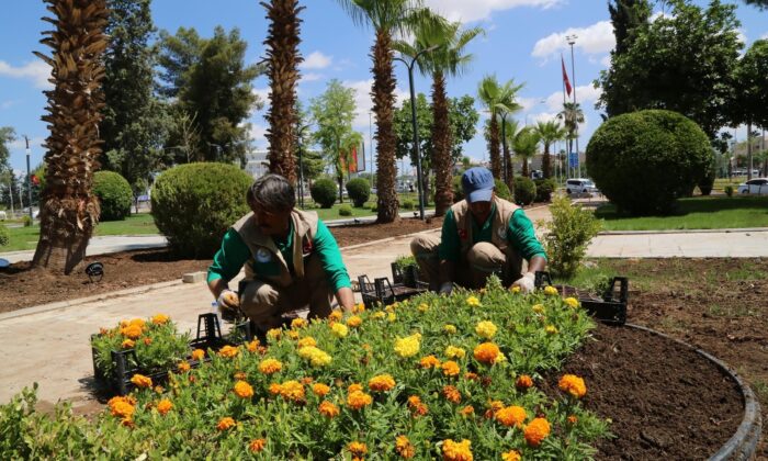 Haliliye’de parklar yaza hazır