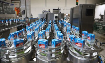 Halk Süt projesi kapsamında 565 bin litre süt dağıtıldı