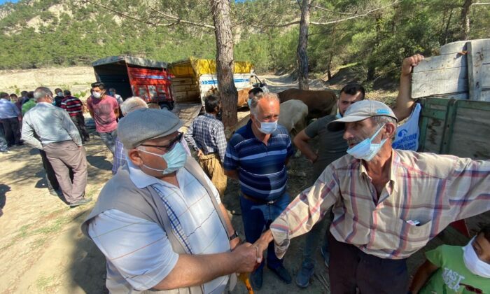 Hanönü’nde kurbanlıkların satışı başladı