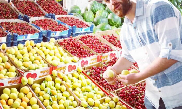 Hasadı başlayan yaş kayısı en pahalı meyve olarak dikkat çekiyor
