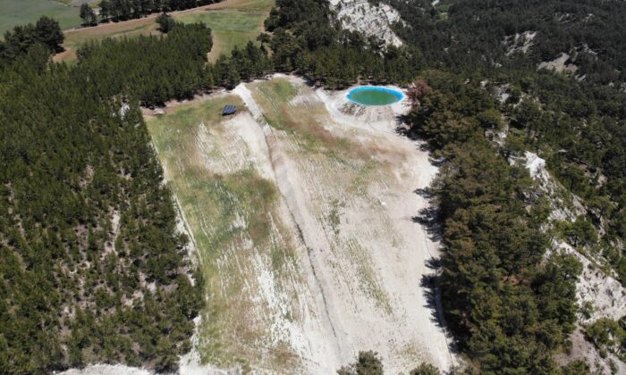 Haşhaşlar susuz kaldı, verim 1 tondan 250 kiloya düştü