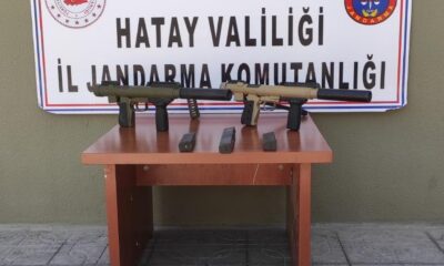 Hatay’da silah kaçakçılığı operasyonu