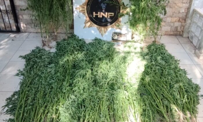 Hatay’da uyuşturucu operasyonunda 1 tutuklama