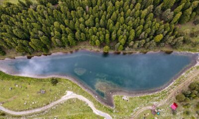Havadan balığı andıran görüntüsü ile ilgi çekiyor