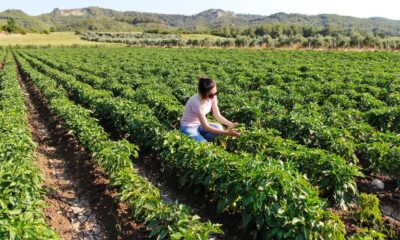 “Hayriye” yüz güldürecek