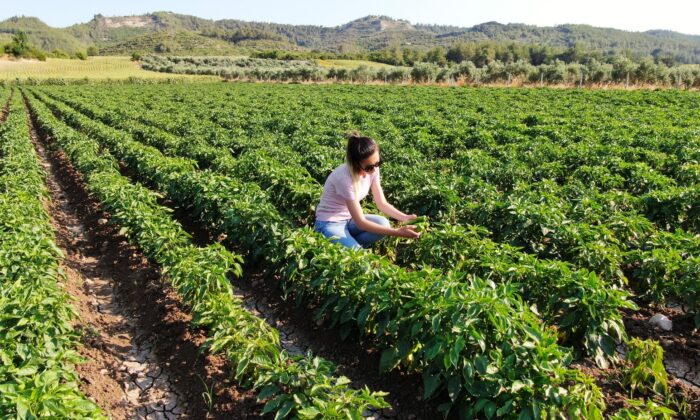 “Hayriye” yüz güldürecek