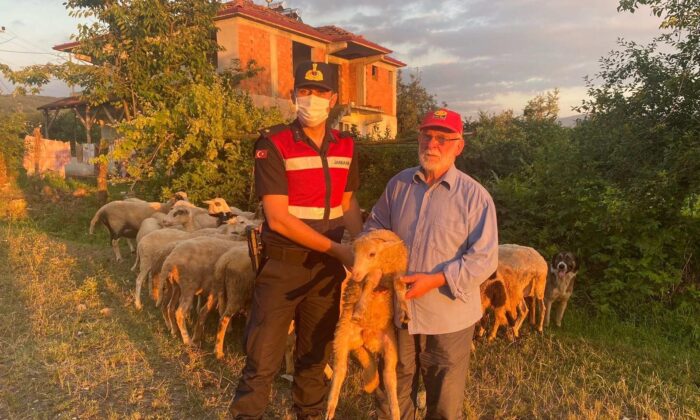 Hayvan hırsızları jandarma dronundan kaçamadı