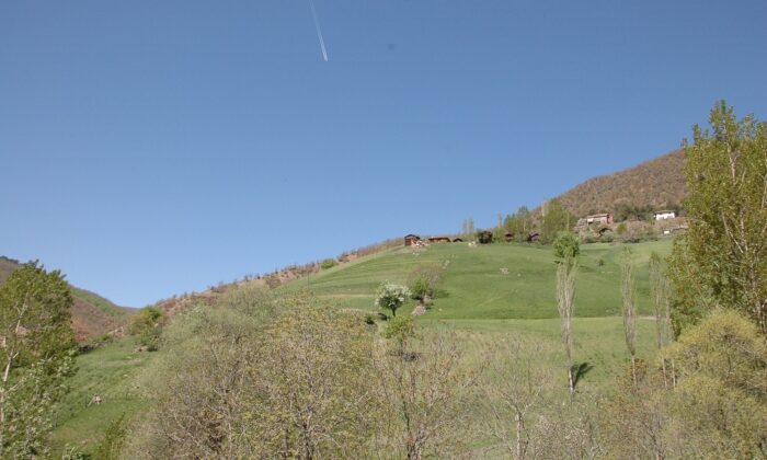 Hayvan otlatma meselesinden komşular birbirine girdi: 2 yaralı