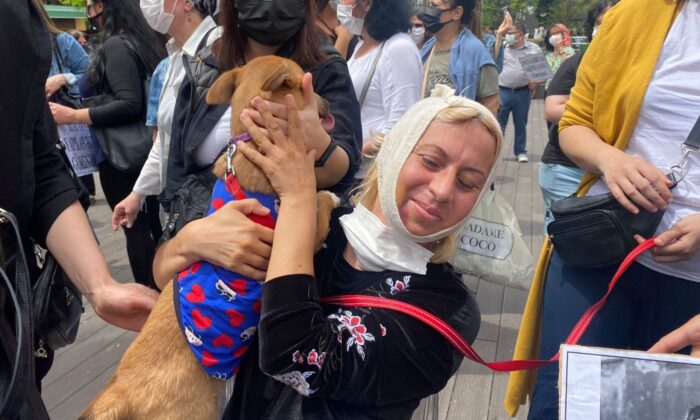 Hayvanseverler tepki göstermek için bir araya geldi