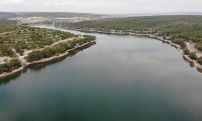 Haziran yağmurları Musaözü Göleti’ni canlandırdı