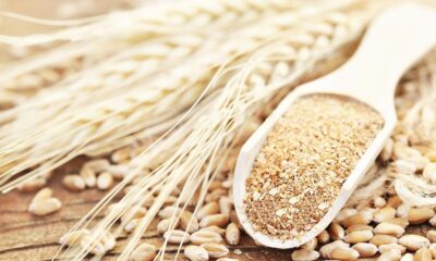 HEKTAŞ, tescilli siyez buğdayı üretecek