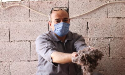 Her halıdan 20 gram hareketli kir çıkıyor