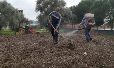 Herkes çöp diye yakıyordu, çok değerli bir gübre olduğu ortaya çıktı