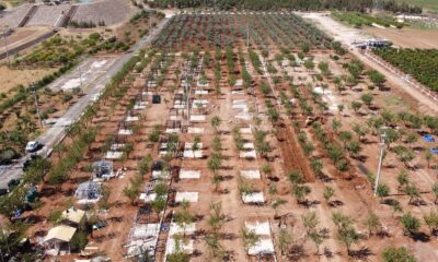 “Hobi bahçesi” projesinde sona yaklaşılıyor