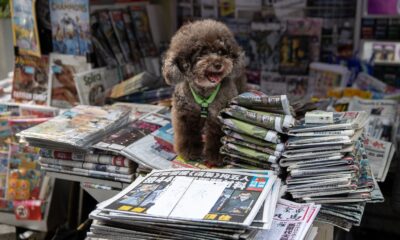 Hong Kong’da muhalif Apple Daily gazetesi cumartesiye kadar kapatılacak