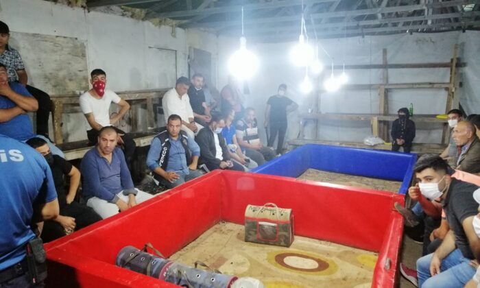 Horoz dövüştüren 23 kişiye 79 bin lira ceza kesildi