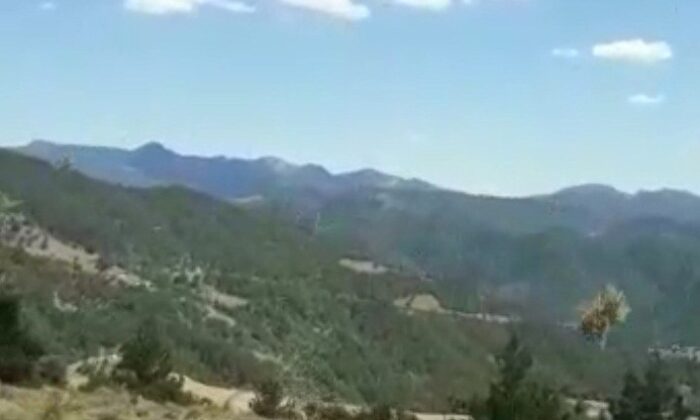 Hortum ekinlere zarar verdi