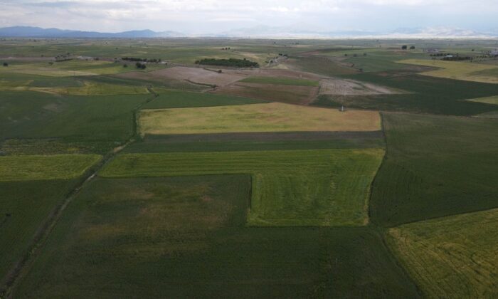 Hüyük’te 408 bin dekar ekili saha kuraklıktan zarar gördü