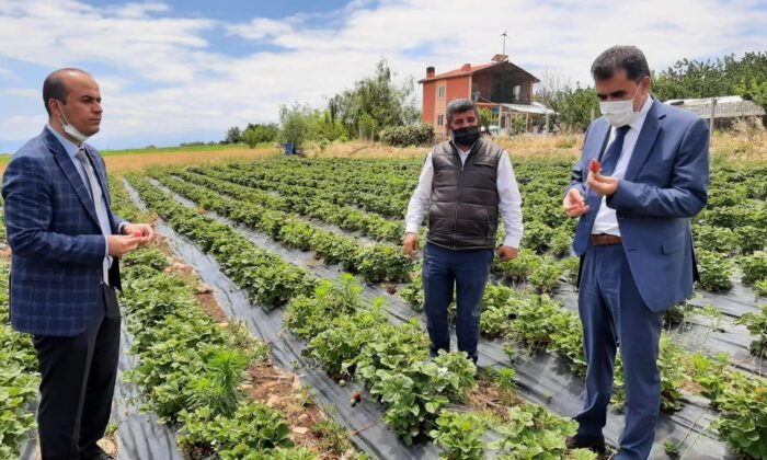 Hüyük’te coğrafi tescilli çileğin tanıtım ve eğitim toplantısı