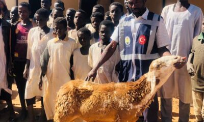 İhlas Vakfı kurban vekalet bedellerini açıkladı