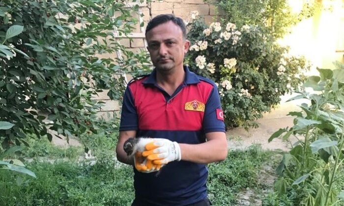 İki duvar arasına sıkışan minik kedi kurtarıldı