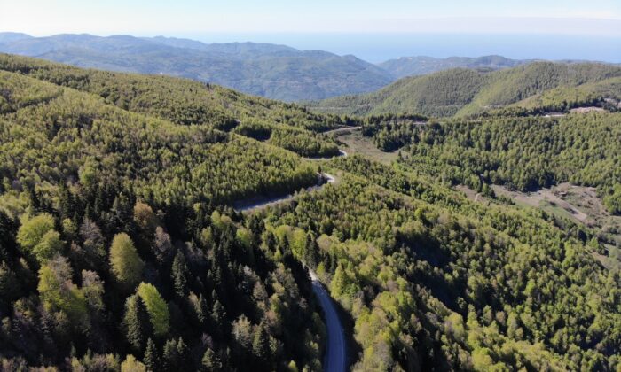 İki ilde ormanlık alanda mangal yapılması yasaklandı