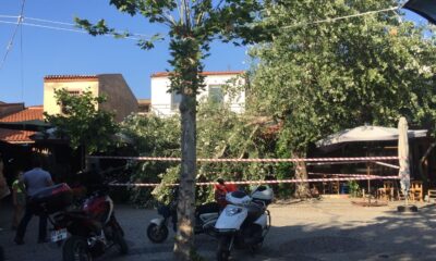 İkiye bölünen ağaç masaların üzerine devrildi, faciadan dönüldü