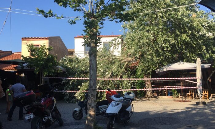 İkiye bölünen ağaç masaların üzerine devrildi, faciadan dönüldü