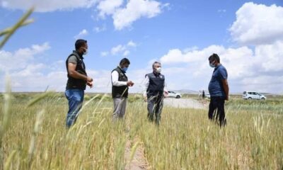 İl Tarım ve Orman Müdürü Şahin, Tomarza’da hasar tespit çalışmalarına katıldı