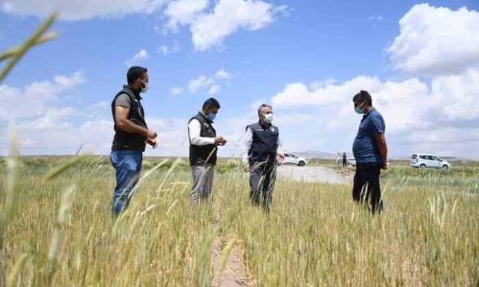 İl Tarım ve Orman Müdürü Şahin, Tomarza’da hasar tespit çalışmalarına katıldı