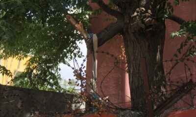 İlkokul bahçesinde dehşet