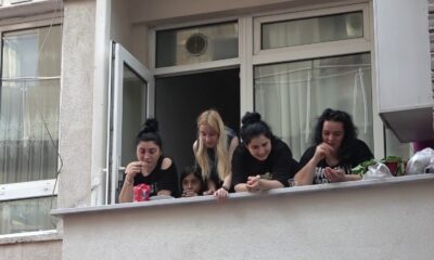 İnatçı yılan otomobilden çıkmadı