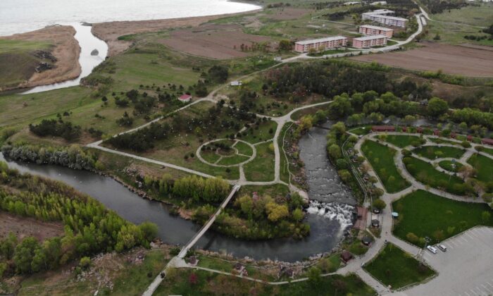 İnci kefalinin muhteşem zorlu yolculuğu devam ediyor