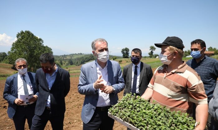 İnegöl’de ilk ekinezya ekimi gerçekleşti