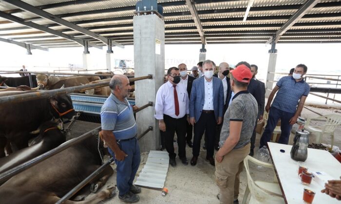 İnegöl’de yeni hayvan pazarında kurbanlıklar satışta