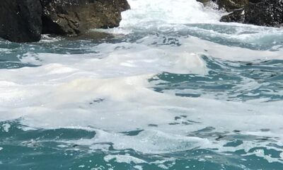 İskenderun kıyılarında beyaz tabaka endişelendirdi