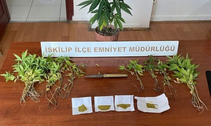 İskilip polisinden uyuşturucu operasyonu
